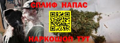 крисы Партизанск
