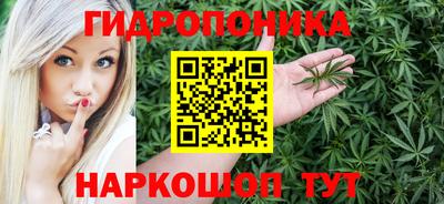 крисы Партизанск