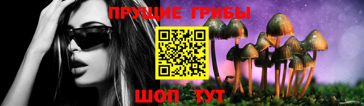Галлюциногенные грибы Cubensis  Вход с VPN  Щёлково  Галлюциногенные грибы Magic Shrooms 